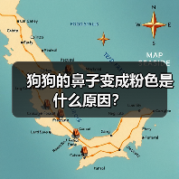 狗狗的鼻子变成粉色是什么原因？（图4）