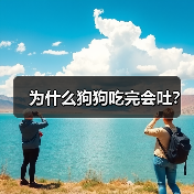 为什么狗狗吃完会吐？（图1）