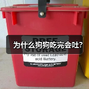 为什么狗狗吃完会吐？（图2）