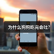 为什么狗狗吃完会吐？