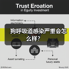 狗呼吸道感染严重会怎么样？（图1）