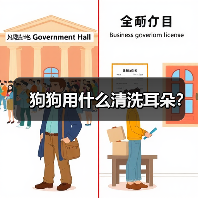 狗狗用什么清洗耳朵？（图3）
