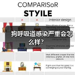 狗呼吸道感染严重会怎么样？（图4）