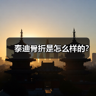 泰迪骨折是怎么样的？（图1）