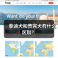 泰迪犬和贵宾犬有什么区别？