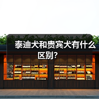 泰迪犬和贵宾犬有什么区别？（图4）