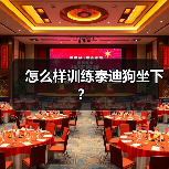 怎么样训练泰迪狗坐下？