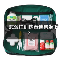 怎么样训练泰迪狗坐下？（图3）