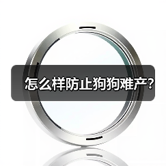 怎么样防止狗狗难产?(图4) 怎么样防止狗狗难产?(图4)