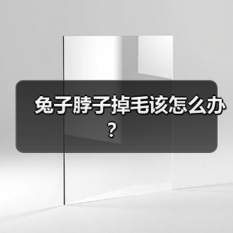 兔子脖子掉毛该怎么办？