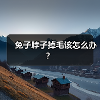 兔子脖子掉毛该怎么办？（图4）