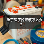 兔子脖子掉毛该怎么办？（图3）