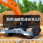 狗吃油腻吃咸会怎么样？（图1）