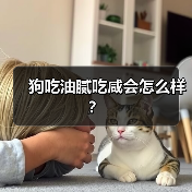 狗吃油腻吃咸会怎么样？