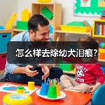 怎么样去除幼犬泪痕？（图1）