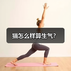 猫怎么样算生气？（图1）