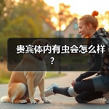 贵宾体内有虫会怎么样？