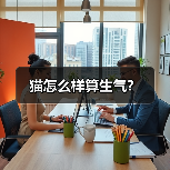 猫怎么样算生气？