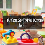 狗狗怎么样才能长大的快？（图4）