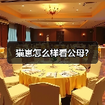 猫崽怎么样看公母？（图4）