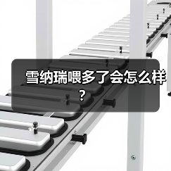 雪纳瑞喂多了会怎么样？（图1）