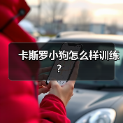 卡斯罗小狗怎么样训练？（图3）