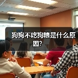 狗狗不吃狗粮是什么原因？（图3）