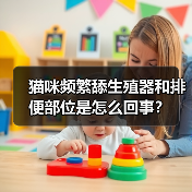 猫咪频繁舔生殖器和排便部位是怎么回事？（图3）