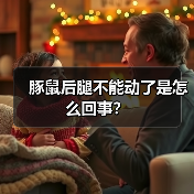 豚鼠后腿不能动了是怎么回事？