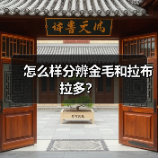怎么样分辨金毛和拉布拉多？（图2）