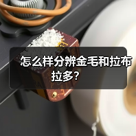 怎么样分辨金毛和拉布拉多？