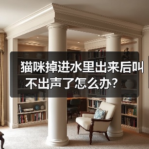 猫咪掉进水里出来后叫不出声了怎么办？（图1）