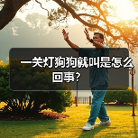 一关灯狗狗就叫是怎么回事？（图2）