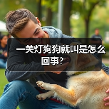 一关灯狗狗就叫是怎么回事？（图3）