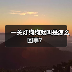 一关灯狗狗就叫是怎么回事？