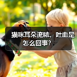 猫咪耳朵流脓、吐血是怎么回事？（图4）
