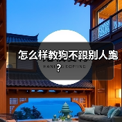 怎么样教狗不跟别人跑？