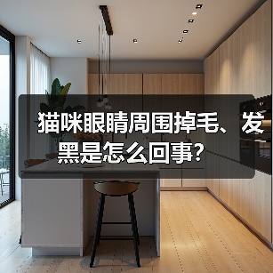 猫咪眼睛周围掉毛、发黑是怎么回事？