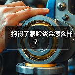 狗得了眼睑炎会怎么样？