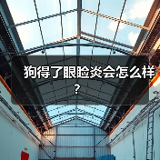 狗得了眼睑炎会怎么样？（图3）