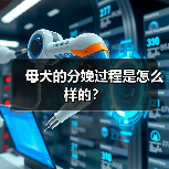 母犬的分娩过程是怎么样的？