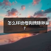 怎么样给母狗摘除卵巢?(图4) 怎么样给母狗摘除卵巢?(图4)