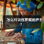 怎么样训练罗威纳护主?(图1) 怎么样训练罗威纳护主?(图1)