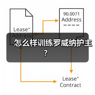 怎么样训练罗威纳护主?(图2) 怎么样训练罗威纳护主?(图2)
