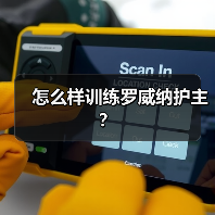 怎么样训练罗威纳护主?(图4) 怎么样训练罗威纳护主?(图4)