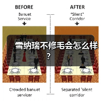 雪纳瑞不修毛会怎么样?(图3) 雪纳瑞不修毛会怎么样?(图3)