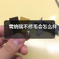 雪纳瑞不修毛会怎么样?(图4) 雪纳瑞不修毛会怎么样?(图4)