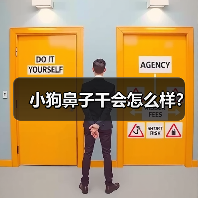 小狗鼻子干会怎么样?(图2) 小狗鼻子干会怎么样?(图2)