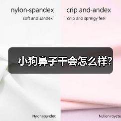 小狗鼻子干会怎么样?(图3) 小狗鼻子干会怎么样?(图3)