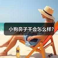 小狗鼻子干会怎么样？